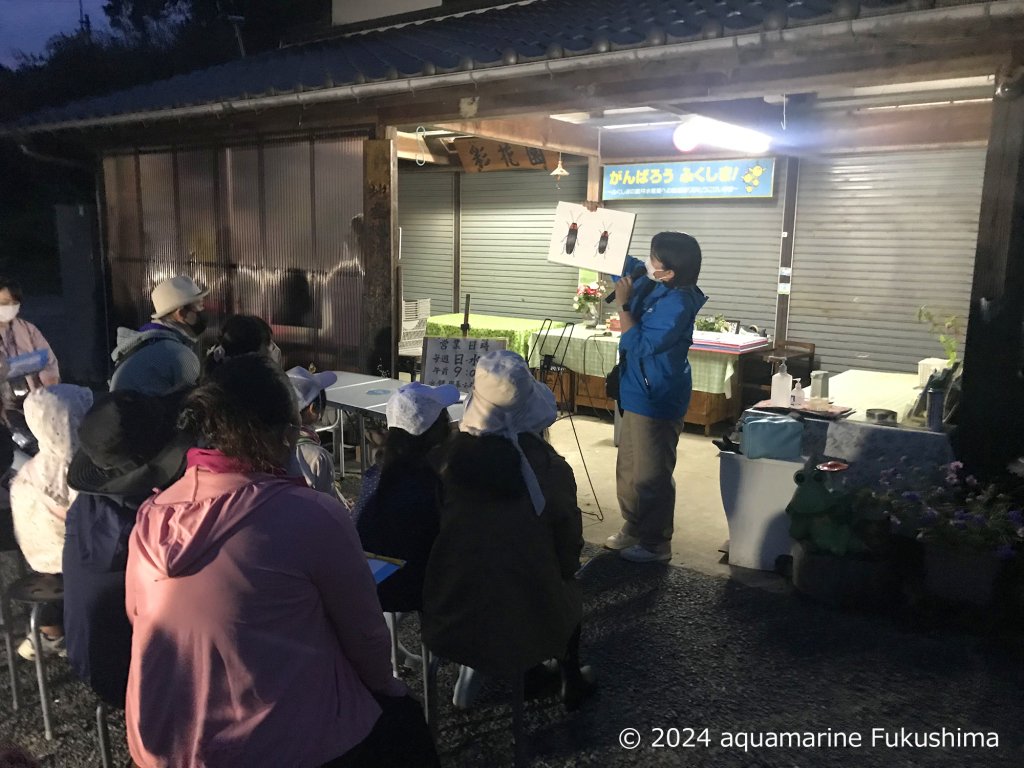 蛍の観察会　アクアマリンイベント紹介